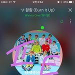 [강다니엘] ㅅㄷ) 짹 보며 걱정중