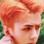 [세훈] 뉴굿즈 엽서세트 후니 <b>실사</b>컷
