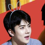 [세훈] 170815 <b>부산</b> 팬사인회 고화질4
