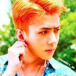[세훈] 뉴굿즈 엽서세트 <b>스캔</b>본