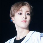 남<b>돌계</b>의 냥이 멍뭉이