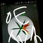 [EXO] 야 슬로건 <b>반사</b>할까 홀로그램할까 ㅊㅂ좀 제발