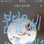 [세븐틴] 캐로시들 진짜 궁금한게 있는데