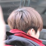 [BAP] 근데 댛니 뒷<b>통수</b> 넘 귀엽지않아?