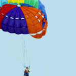 [댓글부탁해] 어제 한림예고 애들 얘기들었는데ㅋㅋㅋㅋㅋㅋㅋ