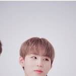 [하성운] 안녕 지나가던 너블이야