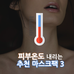 피부<b>온도</b> 내리는 추천 마스크팩3