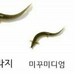 [댓글부탁해] 얘들아 <b>블로그</b>에 빙의글을 썼는데