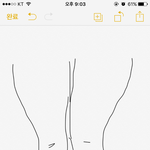 너희는 자신이 보는 <b>다리</b>랑 <b>사진</b>으로 보는 <b>다리</b>랑 같아?