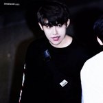 [워너원] 녤최애들 멘탈괜찮냐