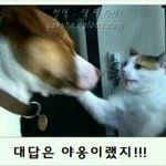 구해둬 점점 <b>노</b><b>잼</b>이거 ㅅㅂ