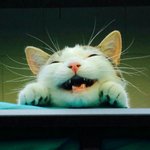 너 <b>여깃</b>는거 다알아