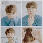 <b>짝눈</b>이 매력적인 연예인 있나