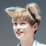 [강다니엘] 홀린듯이 <b>저장</b>했다...