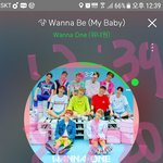 [워너원] 어그로와 일베충 혐혼해!