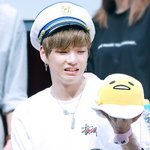 [워너원] 갤련들 일베충이랑 혐혼해