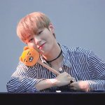[워너원] 정화정화