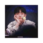 [워너원] 정화정화