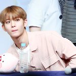 [워너원] 어그로 <b>엔터</b>로 가버림