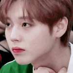 [EXO] <b>지훈이</b>로 공지정화