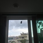 헉 우리집에 <b>박쥐</b> 붙었어