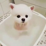 [댓글부탁해] 중딩인데 고딩이랑 사귀는 사람 없냐