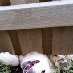 아이폰6s<b>실버</b>가 나아 7<b>실버</b>가 나아??