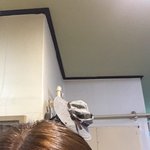 애더라 나 염색<b>뒷북</b> 오짐