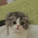 <b>뭔</b><b>일</b>들잇냐
