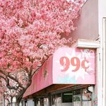 판에 <b>변남</b> 좀 있는 듯;