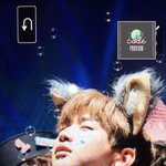 [강다니엘] 타팬인데요 다니엘 <b>이사진</b>!