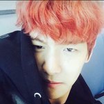 [EXO] <b>이사진</b> 어디뜬거임?