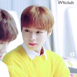 [박지훈] 난..일<b>코라</b> ......ㅠ ㅠ