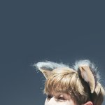 [워너원] ㅈㅎ