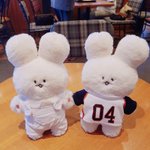 [드루와] 인형 좀 골라줘ㅠㅠㅠ