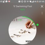 [세븐틴] ㅅㄷ 지금 공카