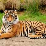 [댓글부탁해] 익명으로 내 아이돌 입덕시키기!