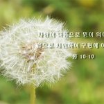 사랑의 편지,신약 시대의 성도들에게 !!!