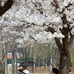 낼 개학인데 자기 싫은 <b>사라</b>뮤ㅠ