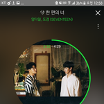 [세븐틴] 피디엪 다 땄당