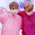 [워너원] 정화단 삐<b>뽀삐</b>뽀