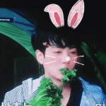 [뉴이스트] 러브들 졸커인 움짤 쪄왔어