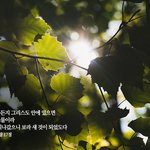 [사랑의 편지] 신천지 <b>예수</b>교회, 성경대로 창조됐어요!