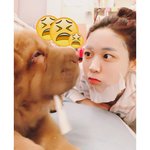 [연예인] 설현X멍뭉이 <b>케미</b>돋는 화보 공개! (덩치엄마 떠려니)