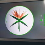 [EXO] ㅅㅂ 6월에 첸백시 니뽄보내는게 아니었어