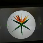 [EXO] <b>1</b>,<b>2</b>,3,4분기 가 언제야?8,9월은 3분기인거알겟고