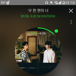 [세븐틴] 파크concert보는데 캐럿들ㅋㅋㅋㅋ