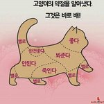 [댓글부탁해] 근데 한국이 <b>인종</b>차별 심한거냐