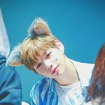 [강다니엘] 예쁨도 오조오억개 <b>장착</b> 녤✨