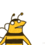 [블락비] 뭐야 또 일본활동이여